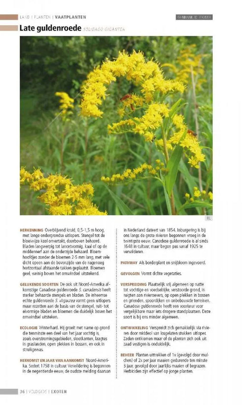 Veldgids Exoten -  Leewis,R. ym 2013